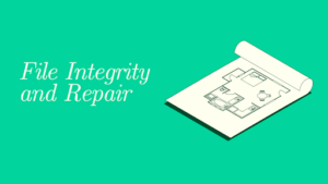 File Integrity and Repair