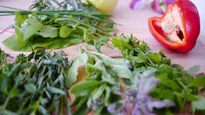 Kitchen Garden